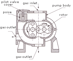 ZJP-300 Korijenske vakuumske pumpe 2