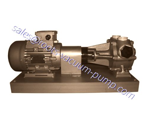 Rotary piston pump 2